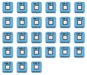 8cce045e-d3f2-11ef-9d2f-000c29e1040d